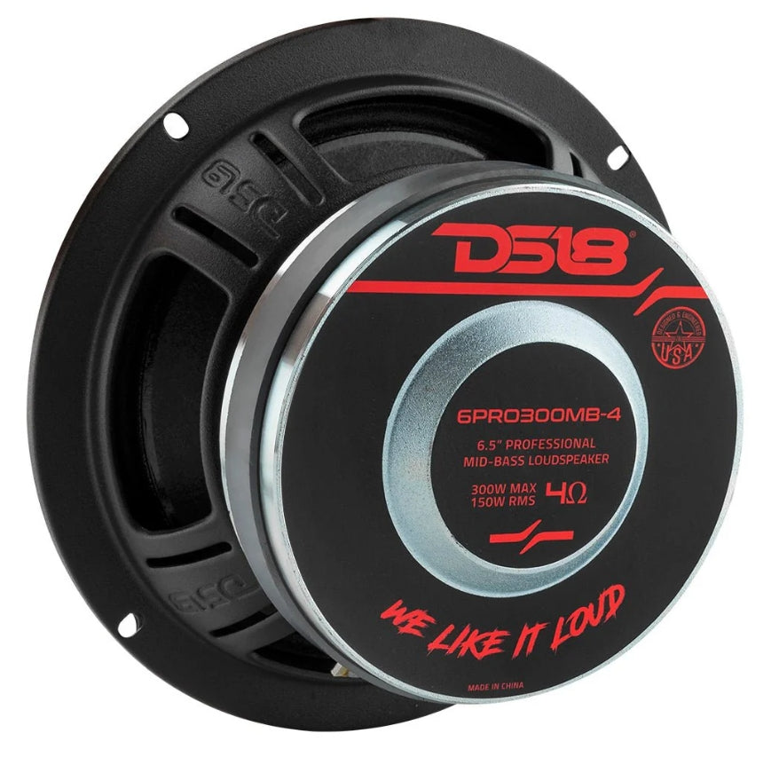 6PRO300MB-4